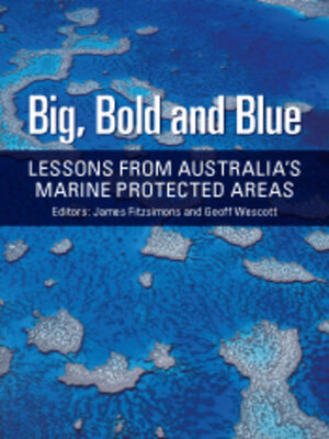 cover image of Big, Bold and Blue